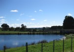 IMG_3161