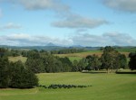 IMG_3183