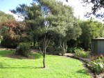 IMG_3200