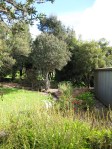 IMG_3201