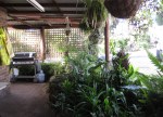 IMG_3208 - Copy