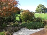 IMG_3212 - Copy